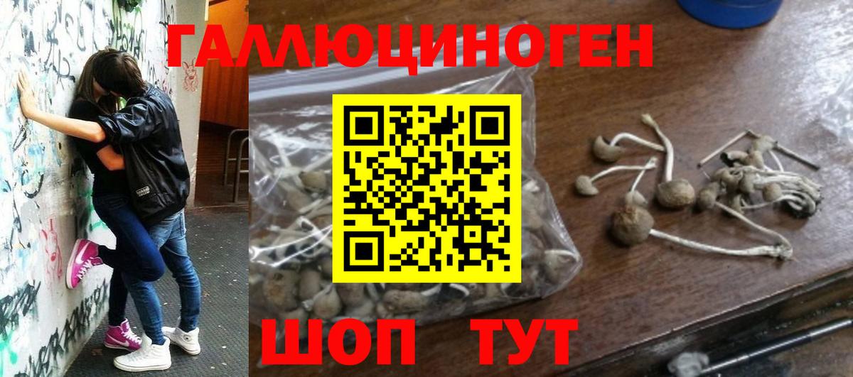 Галлюциногенные грибы мухоморы Краснокаменск