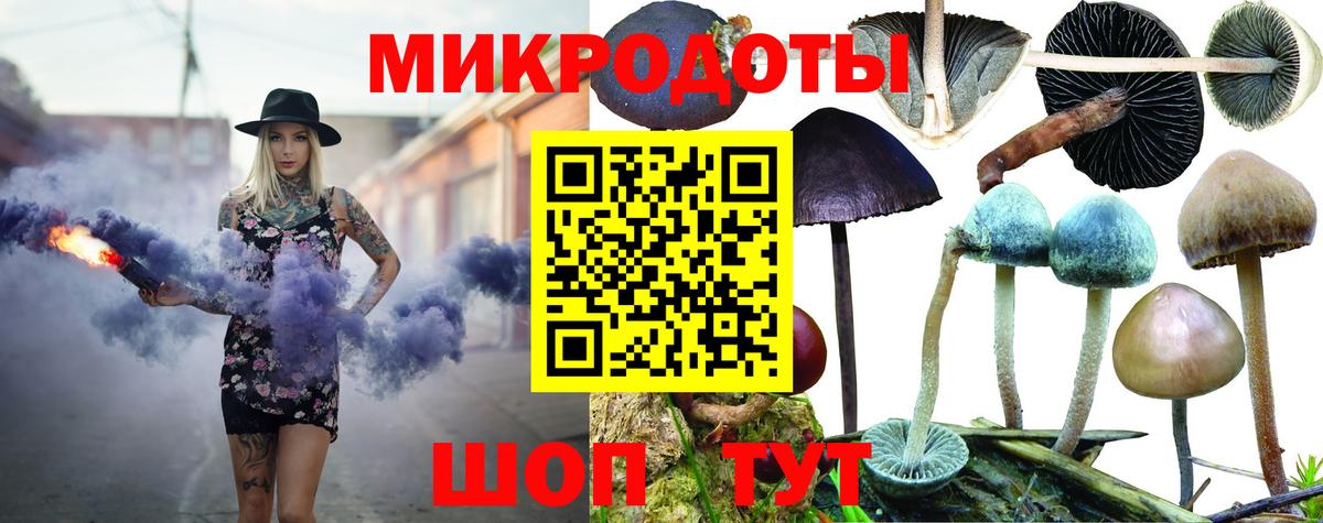 Псилоцибиновые грибы Psilocybe  Вход с VPN  Краснокаменск 